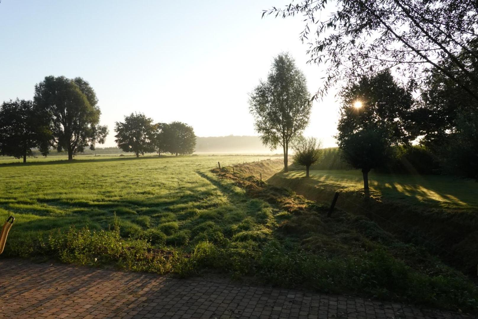 De Knotwilg Loon op Zand Exterior foto